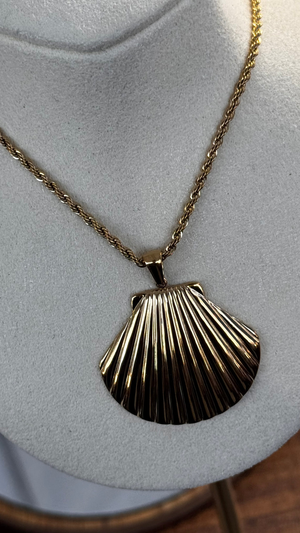 The Seashell Necklace