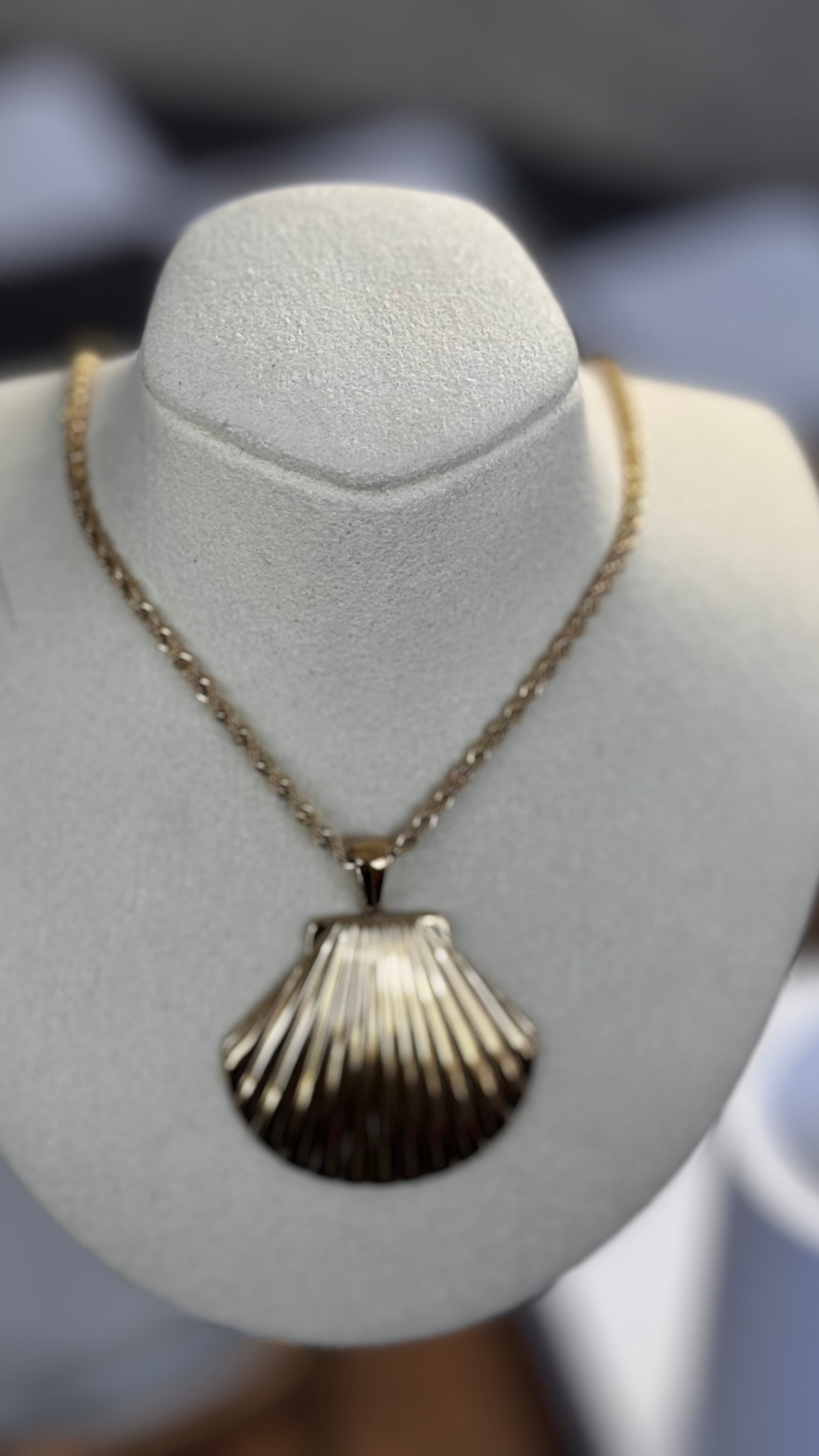 The Seashell Necklace